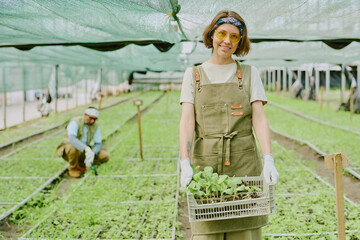 Woman preparing seedlings in a greenhouse man in background crouching near plant beds working in rows of young plants in greenhouse environment