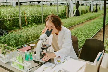 Researcher conducting experiments in laboratory within greenhouse, using microscope for close examination of plant samples. Various laboratory equipment and greenery in surroundings