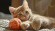 © GoldPumaze - A cat playing with a ball of yarn.