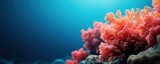 Vibrant coral reef beneath clear blue water, showcasing colorful marine life and the beauty of underwater ecosystems.