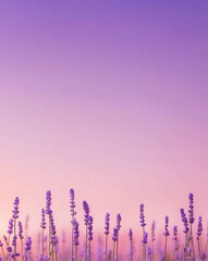 Wall Mural - Blended gradient of lavender and pink hues