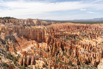 A beautiful view of Hoodoos with greenery and red rocks in Bryce Canyon, Utah.