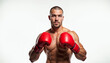 © abu - A confident heavyweight boxer with red gloves poses against a clean white background, emphasizing strength and focus.