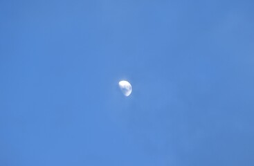 half moon floating from rain cloud on sky in twilight background 