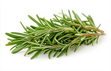 rosemary twig isolated on white