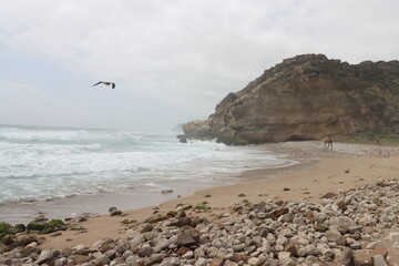 Damar Beach in Oman with a mountain view of the beach