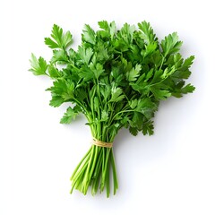 Wall Mural - 206. A fresh bunch of parsley isolated on a clean white background