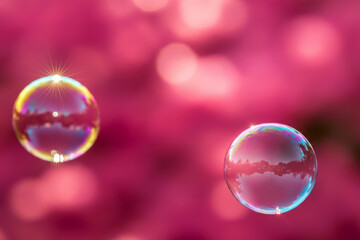 Wall Mural - Fantasy soap bubbles with pink bokeh background