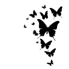 Canvas Print - A flying butterflies silhouette black isolated on white background