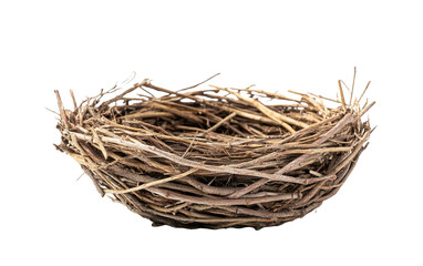 Empty birds nest on white background,png