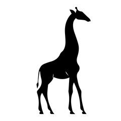 Wall Mural - giraffe silhouette vector