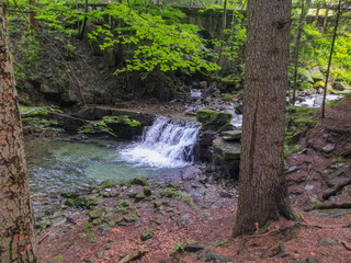 waterfall in the forest