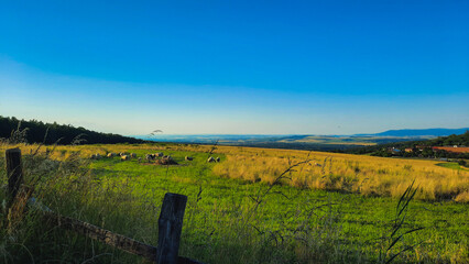 landscape with fence and sky