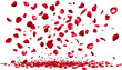 © Graphixo Library - 'Falling Red set of Rose Petal with isolated Transparent Background.