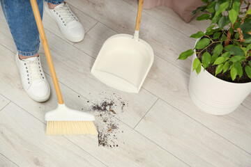 Poster - Woman with broom and dustpan cleaning floor indoors, closeup