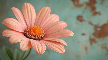 Canvas Print - Delicate Peach Flower with Rusty Background