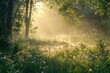© Rudsaphon - Tranquil forest clearing at sunrise rays of sunlight filtering through the lush green