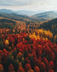 Aerial view of colorful autumn forest in mountains showcasing vibrant foliage and natural beauty