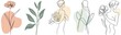 © schmidt - Modern art of femininity and beauty. Elegant line work of a woman with floral branches and wildflowers. A minimalist female face and figure. A modern art of femininity and beauty suitable for logos