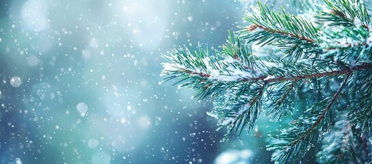 Poster - A winter holiday evergreen Christmas tree with pine branches covered with snow and falling snowflakes, Horizontal