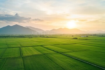 Sticker - An aerial view of a wind farm or wind park with high wind turbines for generating electricity. An example of green energy. Ninh Thuan, Vietnam.