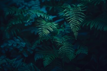 Fern background. Plant and green leaves in nature woodland. Trees foliage close-up wallpaper. Beauty organic garden or forest