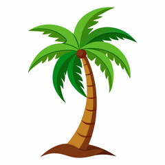 palm tree illustration