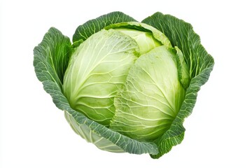 Poster - Various fresh raw fresh cabbage leaves isolated on a natural green background.