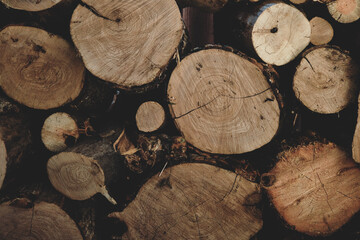 pile of logs for the fire