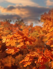 Canvas Print - Autumn leaves in the sun