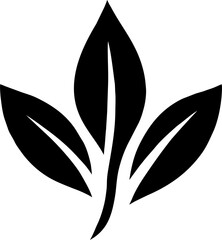 Wall Mural - set of leaves