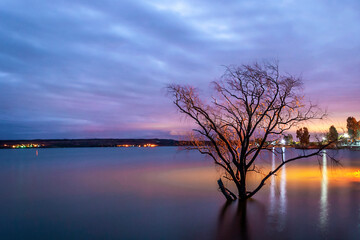 
We see a beautiful sunset on the lake, very calm waters, a tree flooded by the flooding of the rains, and in the background a beautiful cloudy sky with great texture, El Carrizal Mendoza Arg dam.