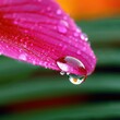 © Наталья Бойко - Close up of a vibrant pink flower petal with a water droplet reflecting its surroundings