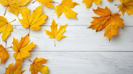 Featuring yellow, red, and orange foliage on a natural background, this fall leaves cutout is framed by colorful leaves.