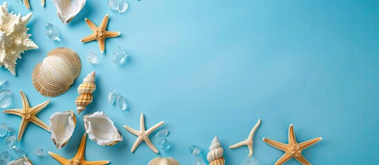 Poster - Sea shells and starfish shaped frame Blue background concept for Hello Summer Top view with copy space