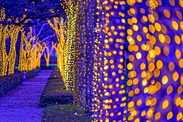 Wall Mural - an image of vibrant festival lights illuminating a night sky, creating a kaleidoscope of colors and 
