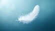 © Orxan - A depiction of a single white feather gracefully falling against a blue background, highlighting the softness of floating feathers