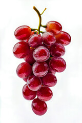 Sticker - A bunch of red grapes against a solid white background.