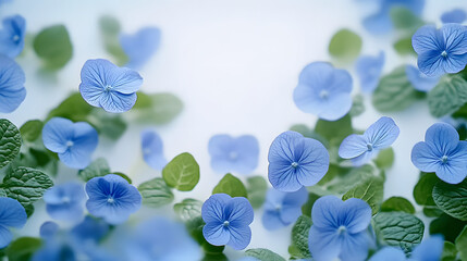 Poster - A single image with a blue flower field on a white backdrop featuring green foliage and centered text