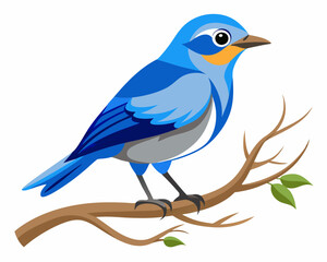 Wall Mural - A bird with blue and gray feathers is shown on tree branches on a white background