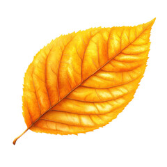Wall Mural - yellow leaf.