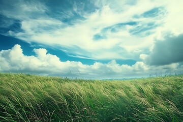 Poster - Green Grass Field with Blue Sky and White Clouds