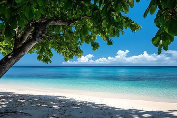 Wall Mural - Tropical beach with white sand and turquoise water under the shade of a tree