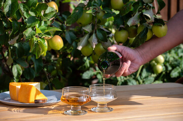 Wall Mural - Pouring of french apple cider brut in glass made from new harvest apples outdoor in sunny orchard