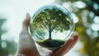 © kwangze - A hand holding a crystal ball reflecting a vibrant tree, symbolizing nature, life, and harmony in a serene outdoor setting.