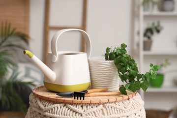 Wall Mural - Plant with watering can on pouf in room, closeup