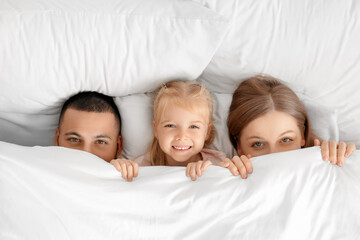 Poster - Parents with their little daughter lying under blanket on bed, top view