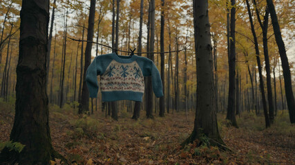 Poster - Sweater hanging from a tree branch in an autumn forest