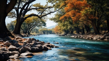 Poster - river in autumn  