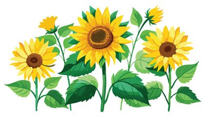 Canvas Print - Watercolor Sunflowers with Green Leaves Vector Illustration on white background.